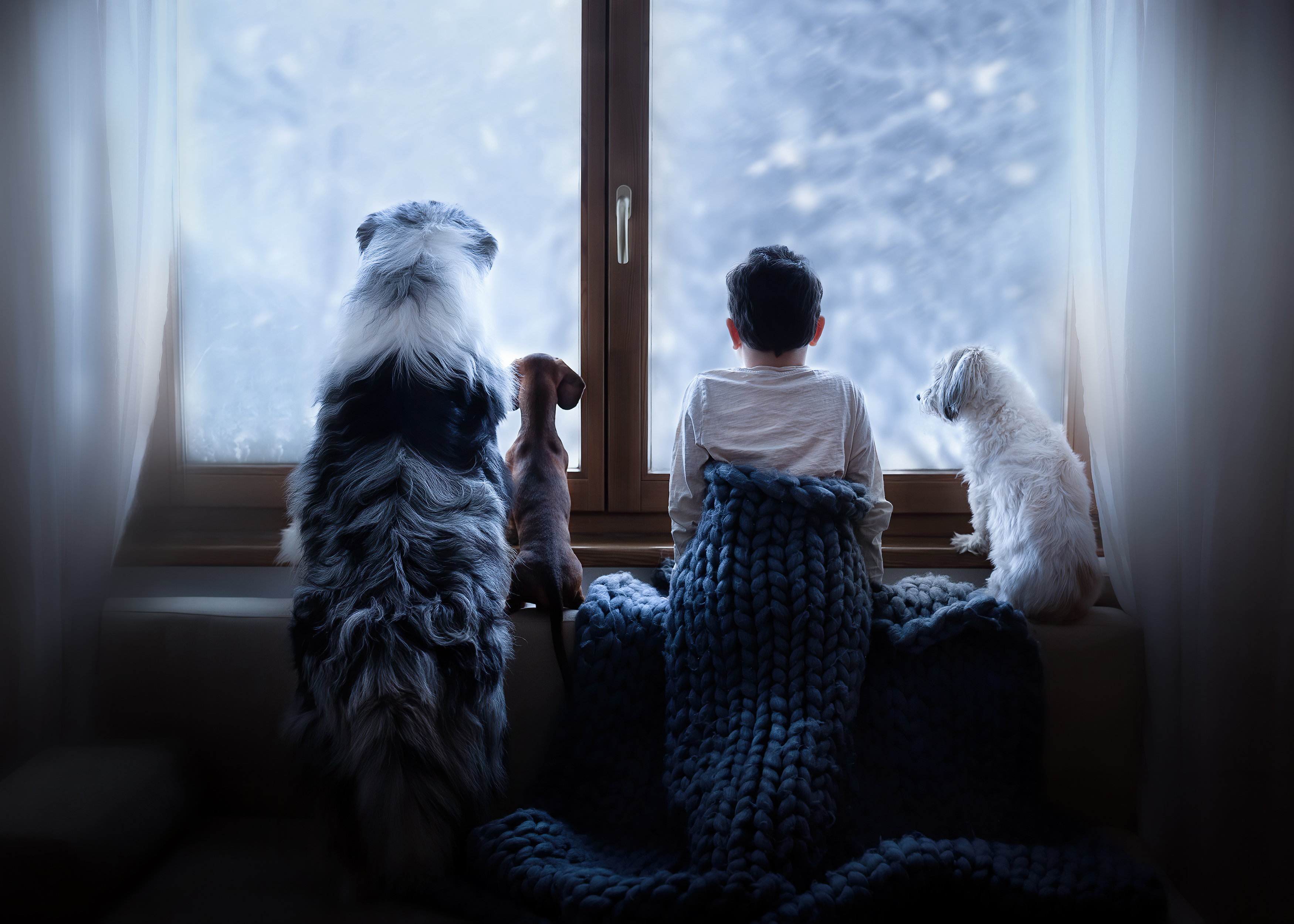 Blog - Aniko Vocelka Photography